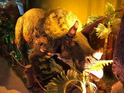 -恐龙探索乐园(磁器口店)