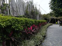 -花溪雨·森林餐厅(石基店)