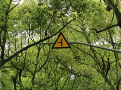 -Aimiqi.Pizza.爱米奇私厨(虹梅路红春大厦店)