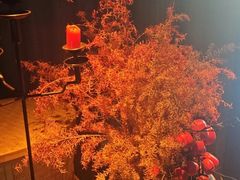 -晓长安·新陕菜(曲江店)