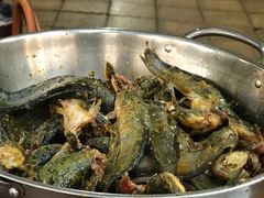 -金海椒罐罐鲢鱼(东方桂苑店)