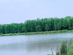 -东湖生态旅游风景区