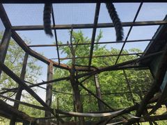 景点-北京动物园
