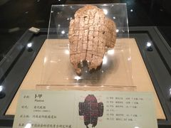 -妇好墓