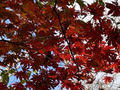 -丹东天桥沟景区