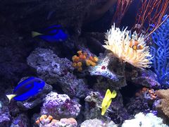 -成都浩海立方海洋公园