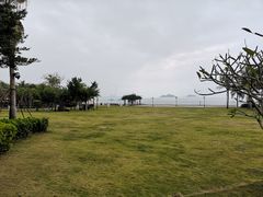 -采粤轩中餐厅(惠州金海湾喜来登度假酒店)