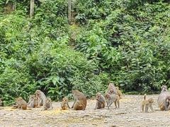 -姑婆山旅游区