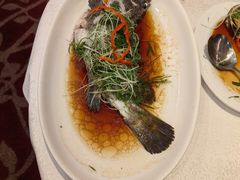 -金鮀岛潮州酒家