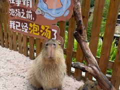 -郑州银基黄帝宫御温泉