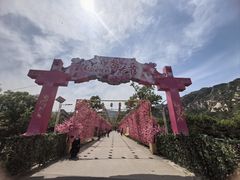 -北京凤凰岭