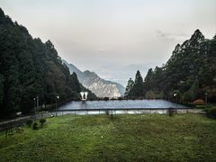 -浔阳中餐厅