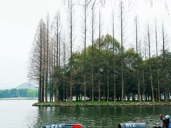 -柯岩风景区