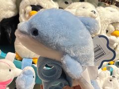 -海合安青岛极地海洋公园
