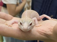 -藦茜花园宠物主题亲子互动体验馆(国顺东路店)