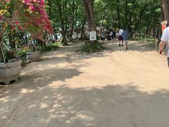 -吉林市朱雀山国家森林公园