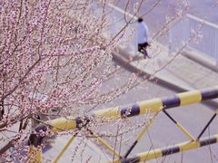 -玲珑塔公园