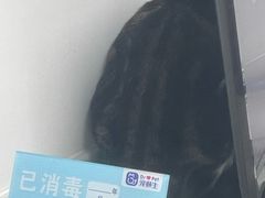 -宠颐生动物医院·猫科·心脏科(海口分院)