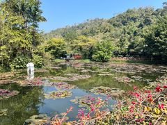 -野象谷景区