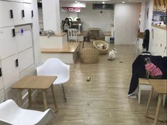 -李小姐の猫咖啡馆(五角场店)