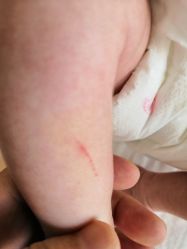 -喜宝母婴月子会所