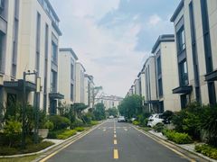 -美的鹭湖森林度假区