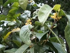 -苏州河梦清园环保主题公园