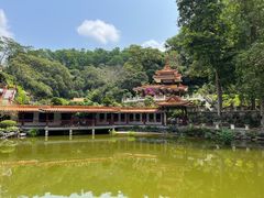 -深圳仙湖植物园