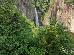 -九鲤湖风景区