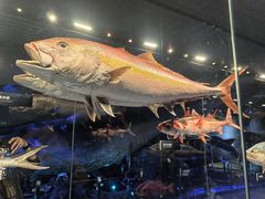 -国家自然博物馆