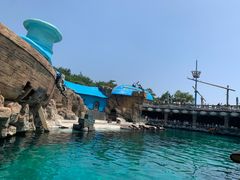 -大连老虎滩海洋公园