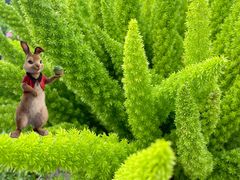 -三圣花乡旅游区