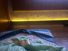 -新紫霞养生·影院足道·SPA(金山区店)