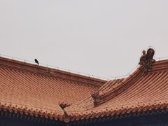 -故宫博物院(故宫)