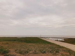 -南汇嘴观海公园