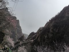 -狼牙山风景区