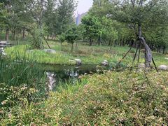 -太阳岛旅游度假区