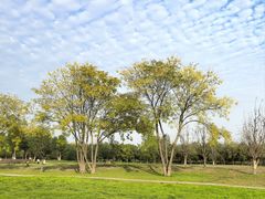 -汉长安城未央宫国家考古遗址公园