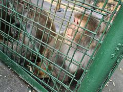 -南京金牛湖风景区