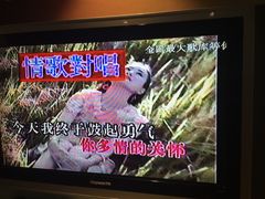 李茂山vs林淑容-迟来的爱-环球梦主题KTV(曲阳生活购物中心店)