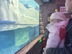 -左海海底世界