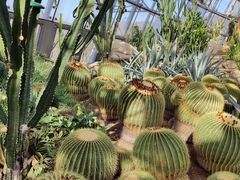 -北京植物园-展览温室