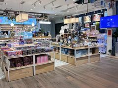 -猫的天空之城概念书店(北戴河蔚蓝海岸店)