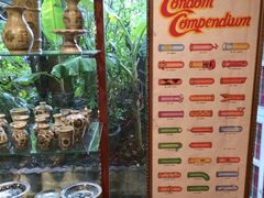 -卷心菜和避孕套餐厅(Pattaya)