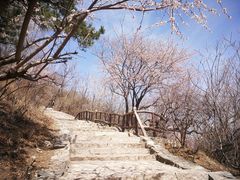 -香山公园