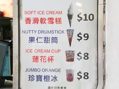 -富豪雪糕车流动点(尖沙咀店)