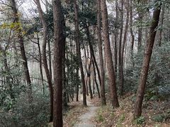 -青龙山国家森林公园