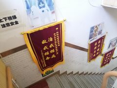 -总动员动物医院(宝丰院店)
