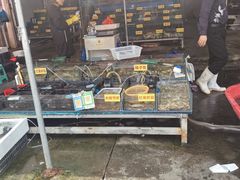 -上海龙吴水胜海发市场