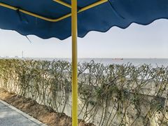 -上海滨江森林公园